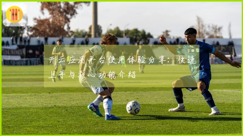 开云应用平台使用体验分享：快速上手与核心功能介绍